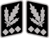 SS-Oberst-Gruppenführer collar.svg