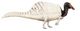 Spinosaurus aegyptiacus