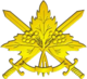 Загальновійськова емблема (2007).png