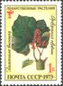 1973 CPA 4271 mint.jpg