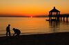 Fontainebleu State Park Sunset.jpg