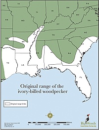 Original range of the ivory-billed woodpecker.jpg