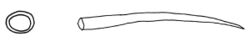 Perforatella bidentata dart.jpg
