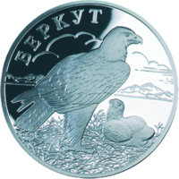 RR5109-0057R Беркут.png