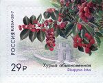 RUSMARKA-2210.jpg