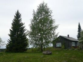 Кясняселькя333.jpg