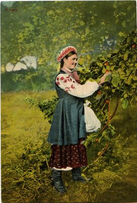 «Малороссийские типы. В садку». 1890-шо ий-влак