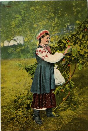 Малороссийские типы В-садку.jpg