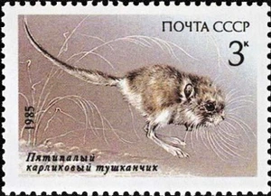 Почтовая марка СССР № 5659. 1985. Животные Красной книги СССР.jpg