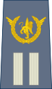 07-ROCongo Air Force-CWO.svg