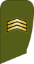 3-Sarjukhe - Naja.png
