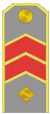 Armenische Legion 1942-1944 - Generál-leytenánt (shoulder mark).gif