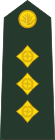 Bangladesh-army-OF-2.svg