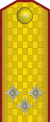 KoY-Army-Infantry-Colonel.svg