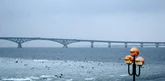 Saratov-avto-most.jpg