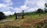Taninthayi Nature Reserve.jpg