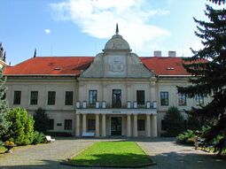 Trebisov vlastivedne muzeum.jpg
