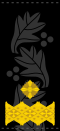 UANs shoulder mark 16.svg