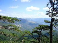 Yaltinskij zapovednik.jpg