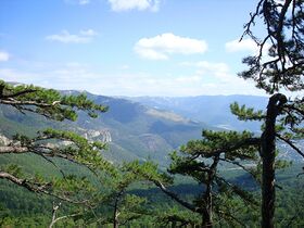 Ялтинский заповедник. Вид с г. Пендикюль