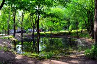 02. Санкт-Петербург. Родниковые озера на пр. Тореза. Малое озеро.JPG