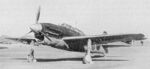 D4Y-11.jpg