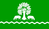 Флаг