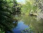 Koreshan SHS Estero River01.jpg