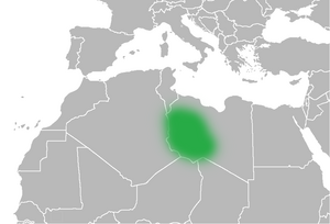 Map of Phasania.png