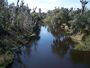 Paynes Creek SP outside Peace River south01.jpg