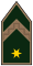 Rank Army Hungary OR-08a.svg