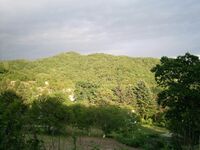 Sopka in south Sikhote-Alin.JPG