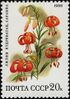 The Soviet Union 1988 CPA 5968 stamp (Deciduous forest flowers. Turk's cap lily).jpg