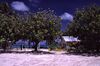 Tuvalu - Funafuti - School.jpg