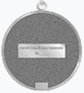 Знак отличия Тюменской области (реверс).png