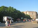 Ул. Типанова, Северная роща.jpg