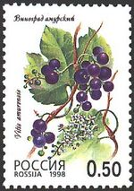 1998. Марка России 0447 hi.jpg