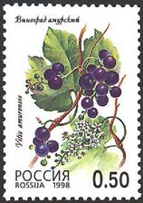 1998. Марка России 0447 hi.jpg
