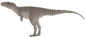 Asiatyrannus xui.png