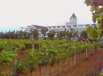 Chateau-Changyu.jpg