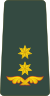 Georgia-Army-OF-4.svg