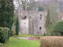 Gidleigh Castle.jpg