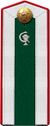 Red Army cadet veterinary school 1943 shoulder straps.jpg