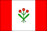 Флаг