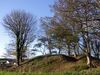 The motte - geograph.org.uk - 619508.jpg