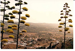 Эффект переднего плана или последовательность планов задают глубину ландшафта.