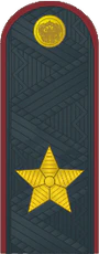 Генерал внутренней службы РФ.png