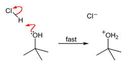 1-HCl-protonates-tBuOH-2D-skeletal.png