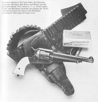 Burnham sidearm.jpg