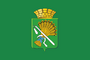 Flag of Kamyshlov (2019).png